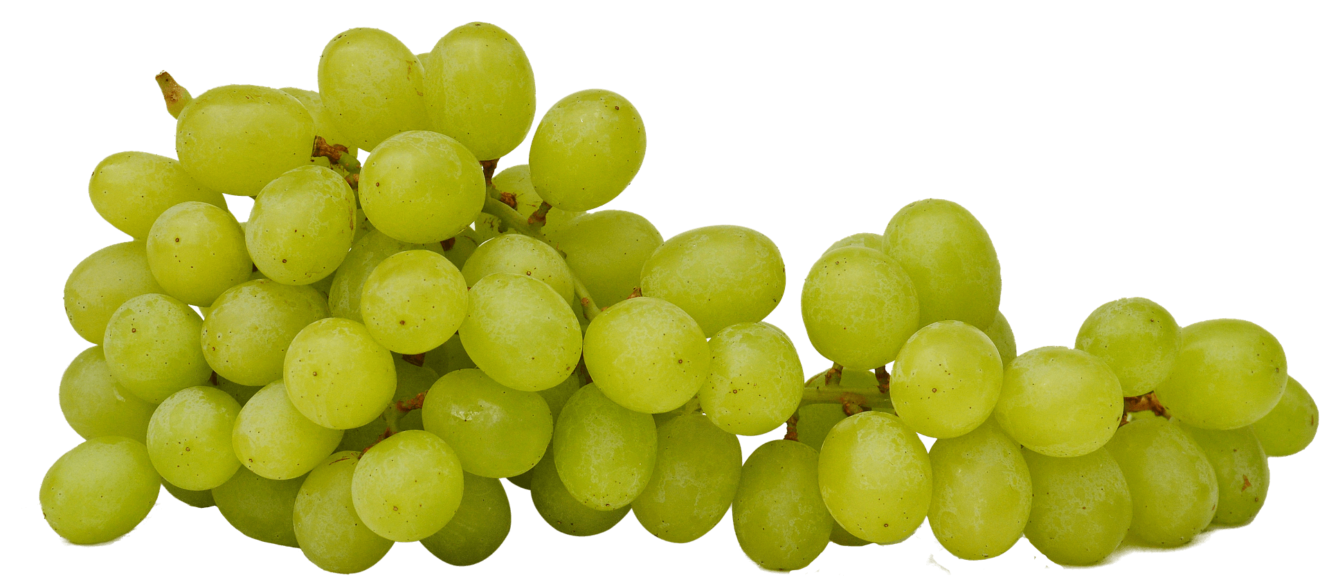 ענבים