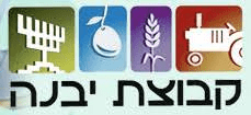 קבוצה יבנה