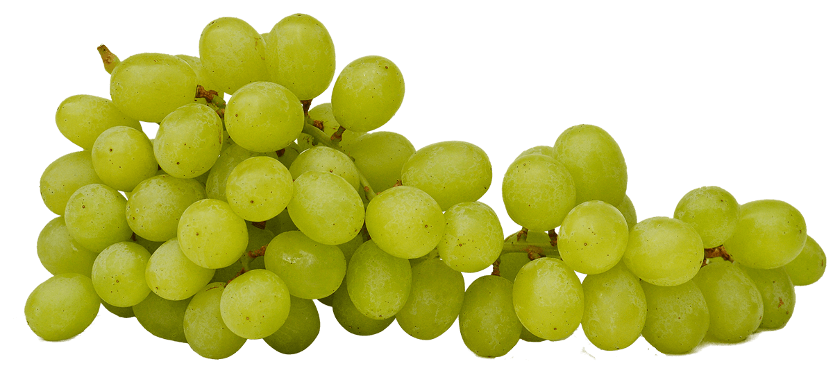 grapes-2673039_1920-1